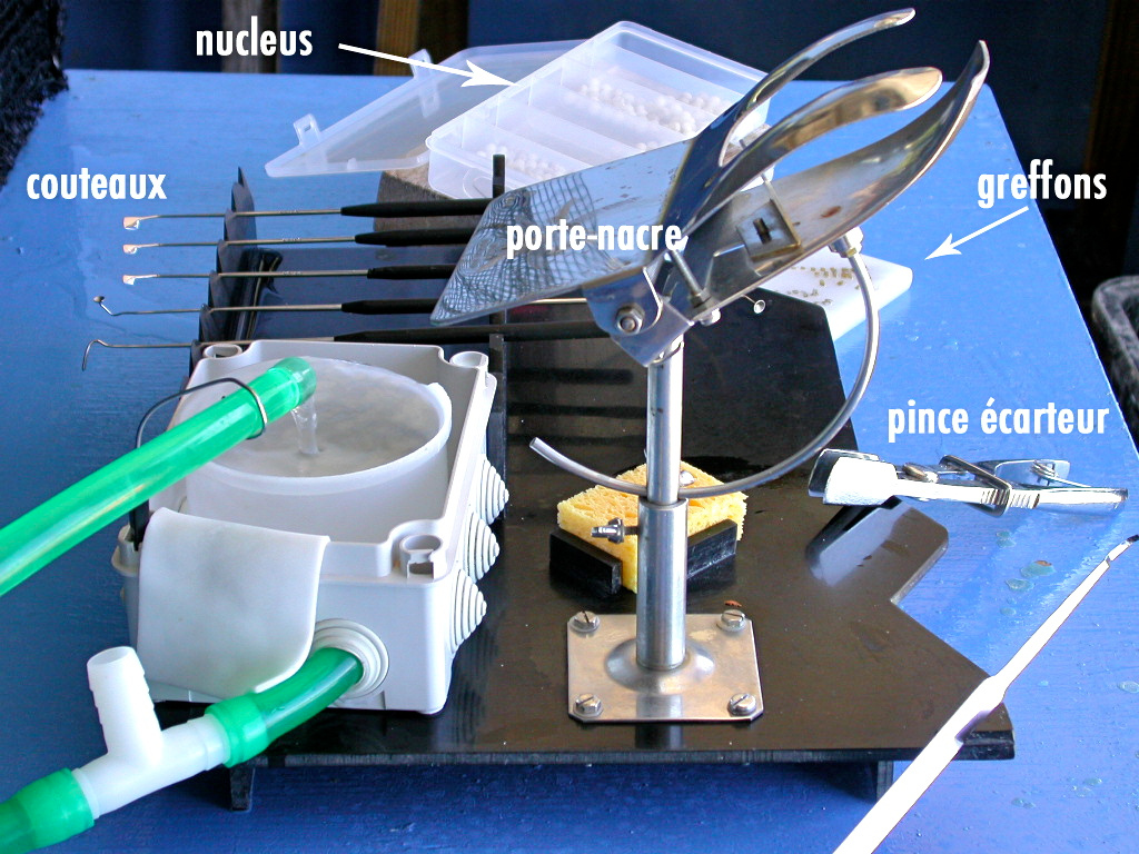 table de greffeur et ses différents outils.