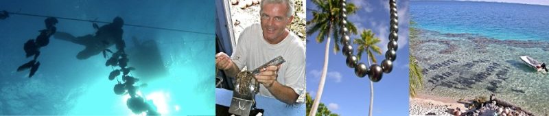 Un montage photo où l'on voit Thierry en plongée, la greffe, un collier de perle de Tahiti sur fond de cocotier, et le petit bateau sur le récif