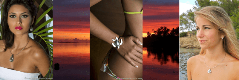 la tortue, tout un symbole