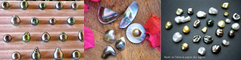 Les perles, mabes et keshis sont les produits phares de filière perlicole.