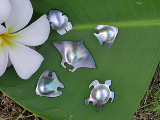 les animaux marins ont une symbolique forte dans la culture polynésienne