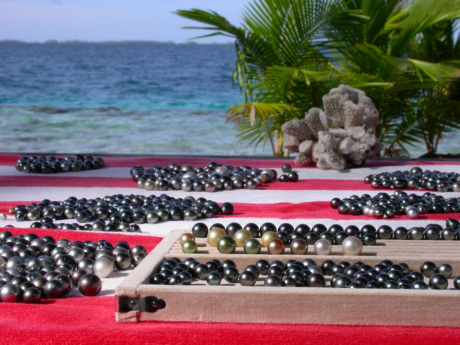 Voici mon bureau au bord du lagon de Manihi. C'est là que j'ai sélectionné pour vous la perle du pendentif Ariiorai .
