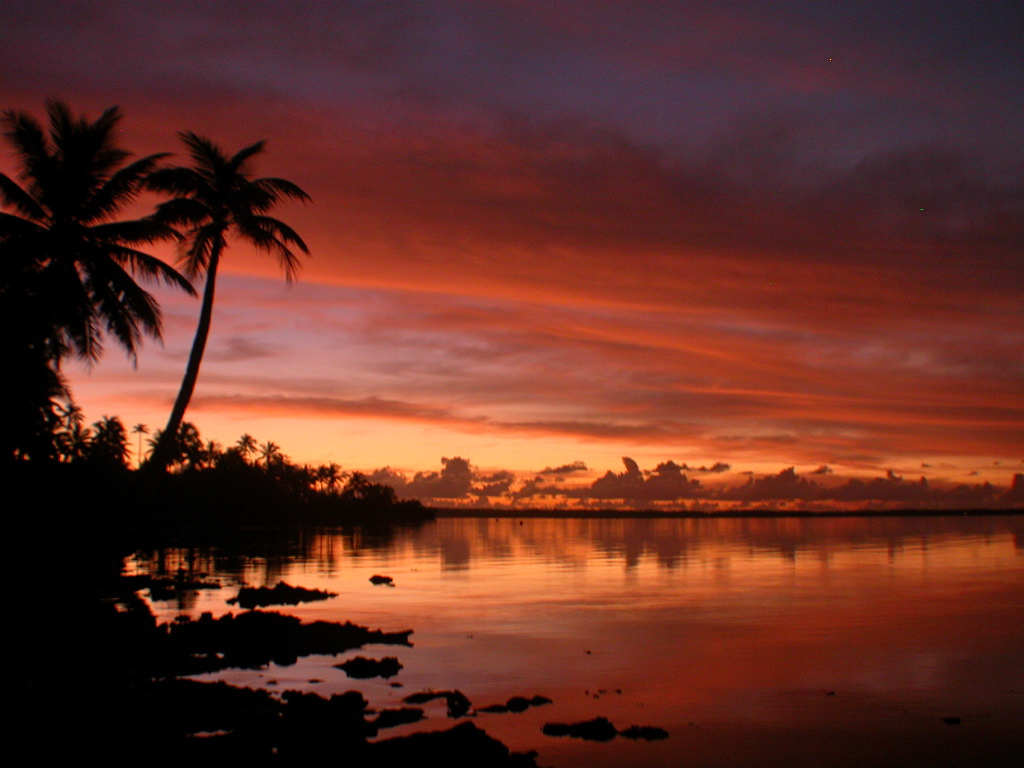 Ainsi, de la baie de Toba aux lagons de Manihi, la filière perlière moderne suit une même logique : science, patience et exigence. L’innovation initiée par Mikimoto vit aujourd’hui à travers chaque perle de Tahiti produite artisanalement et vendue en direct par Tahiti Perles Création.