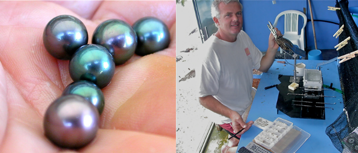 Miki est une très grosse Perle de Tahiti gravée montée sur un lien en cuir réglable. Imaginez une perle de 13, 2 mm semi baroque à votre cou, succès garanti ! J'ai eu le plaisir de récolter moi-même cette perle sur ma ferme de Manihi. Une perle de cette taille est issue de la surgreffe et son élevage demande presque 6 années d'entretiens divers.