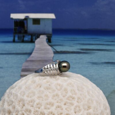 La bague Naia est née d’un parcours singulier, entre les eaux claires de l’atoll de Manihi et les mains patientes de l’artisan bijoutier. Tout commence dans les lagons de Polynésie française, là où je cultive, depuis plus de vingt ans, des perles de Tahiti selon des méthodes artisanales respectueuses de l’environnement et du cycle naturel de l’huître perlière Pinctada margaritifera.