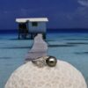 La bague perle Ulani est livrée dans un écrin soigné, accompagnée de son certificat d’origine. Une création unique, associant une véritable perle de Tahiti unique portée par une personne unique .
