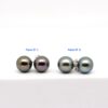 Boucles d’oreilles Hikueru en argent rhodié avec perles de Tahiti rondes 10,1 mm de qualité A, disponibles en vert ou vert aubergine.