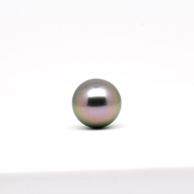 La perle du pendentif Heilani est une ronde de 11,8 mm, un diamètre exceptionnel qui la classe parmi les pièces les plus rares de la perliculture. Sa couleur vert clair, rehaussée de subtiles nuances aubergine, est entièrement naturelle, fruit d’un environnement unique et du mollusque Pinctada margaritifera. Bien que proche de la qualité GEM, cette perle a été classée en qualité A pour un infime défaut situé sur une zone non visible une fois portée. Ce détail ne fait que renforcer son authenticité et son caractère unique.