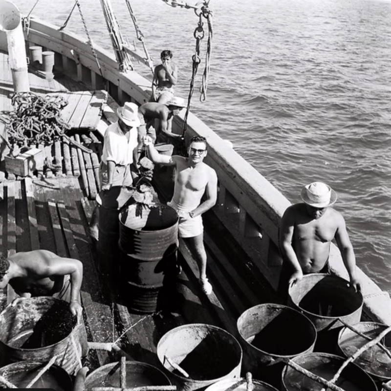 Jeune docteur vétérinaire nouvellement diplômé de Maison-Alfort, Jean-Marie Domard,
