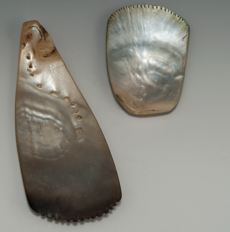 grattoirs en nacre d'huître Pinctada margaritifera de papouasie nouvelle guinée