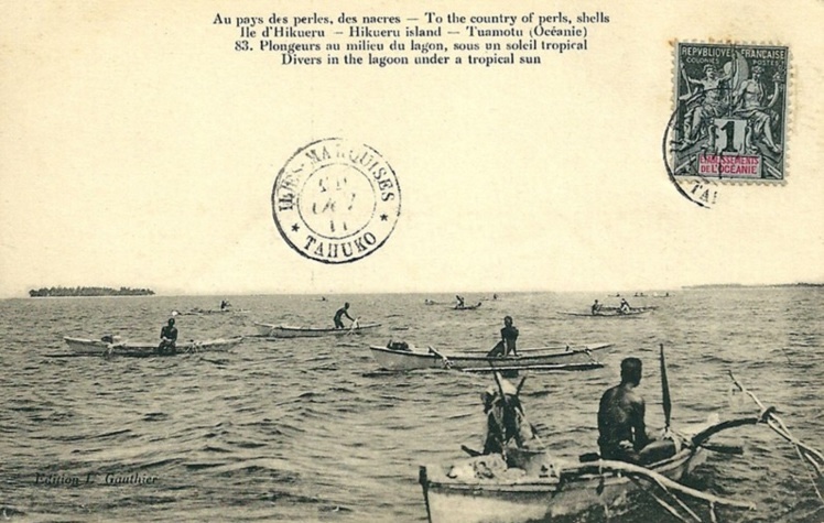 Plongeurs de nacres dans l’archipel des Tuamotu (vers 1900).L'huître perlière Pinctada margaritifera est très recherchée !
