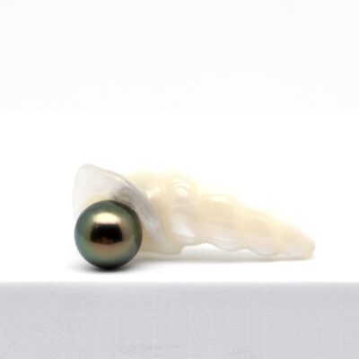 Une sculpture aussi spectaculaire méritait une perle à sa hauteur. J'ai donc sélectionné dans ma propre production une perle de Tahiti rare, parfaitement ronde, de 9,8 mm et de qualité A, dont le vert profond se pare de subtils reflets aubergine.